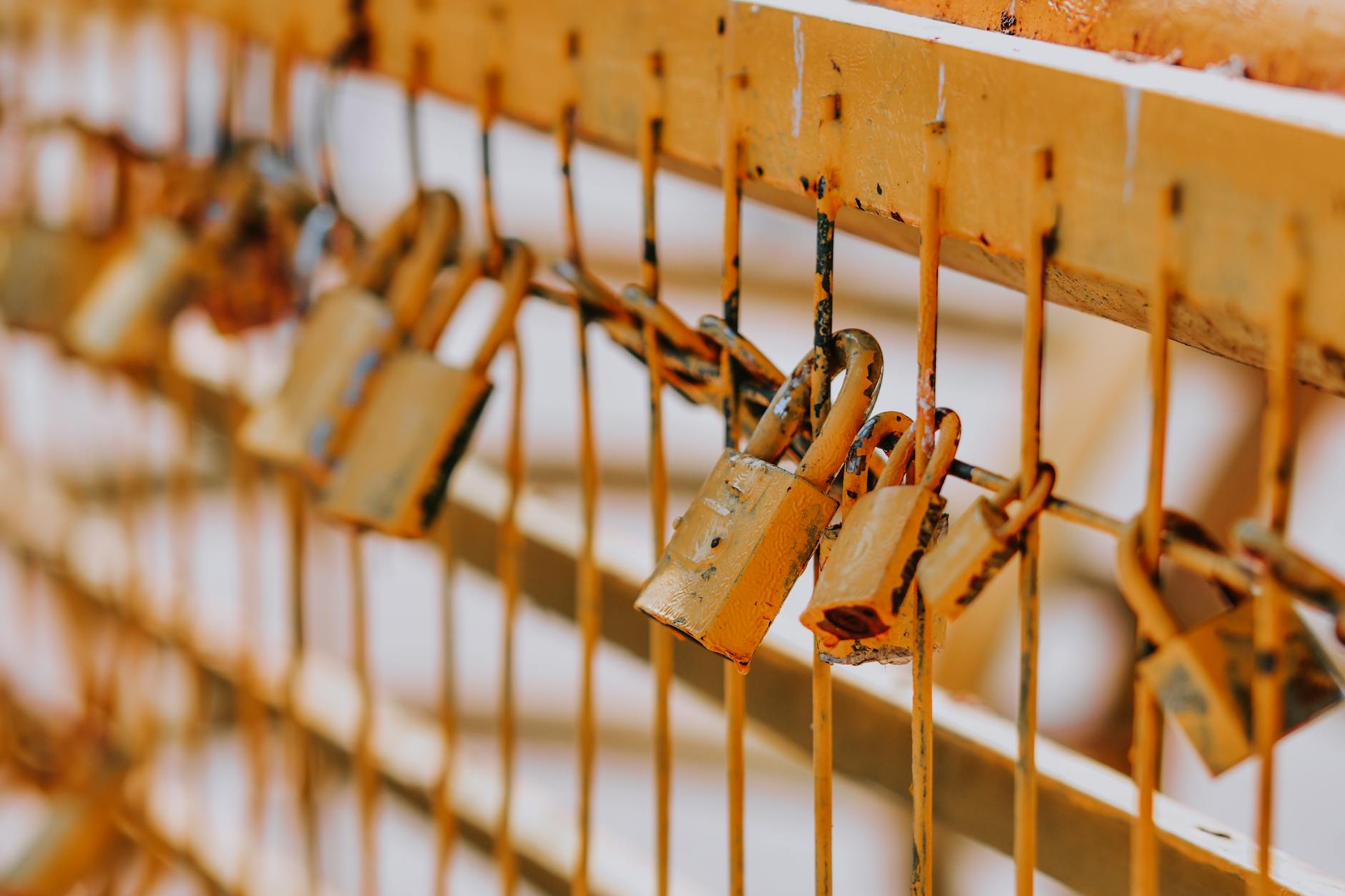 A detailed shot highlighting several rusty padlocks attached to a metal fence, symbolizing security and decay.